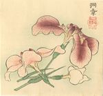 Kano Seichisai Dosho