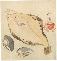 Totoya Hokkei